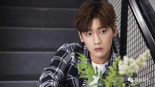 杨旭文娱乐吃小瓜,揭秘明星幕后趣事  第3张